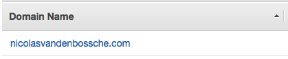 Screenshot showing the setup of nicolasvandenbossche.com domain