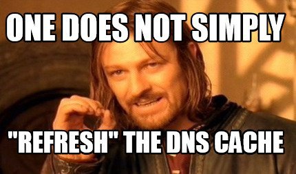 Aragorn saying: One does not simply&hellip; &lsquo;Refresh&rsquo; the DNS cache.