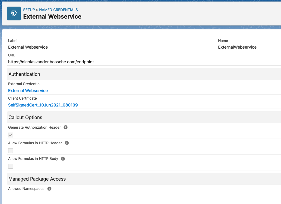 A screenshot of a named credential in a Salesforce org. You can see the link with the external credential, a specified endpoint and a client certificate.