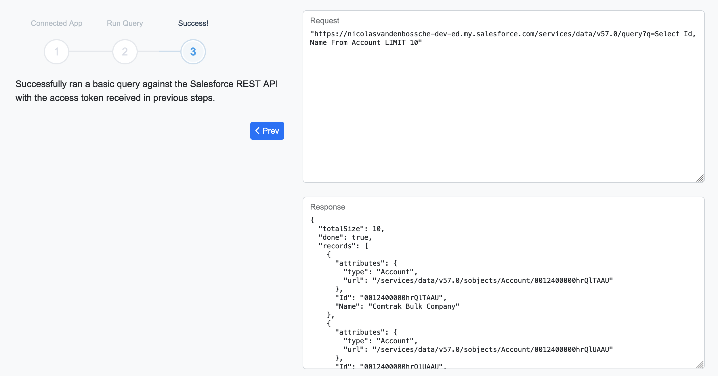 A screenshot of the application showing the final step of the User-Agent flow, showing a successful query execution.